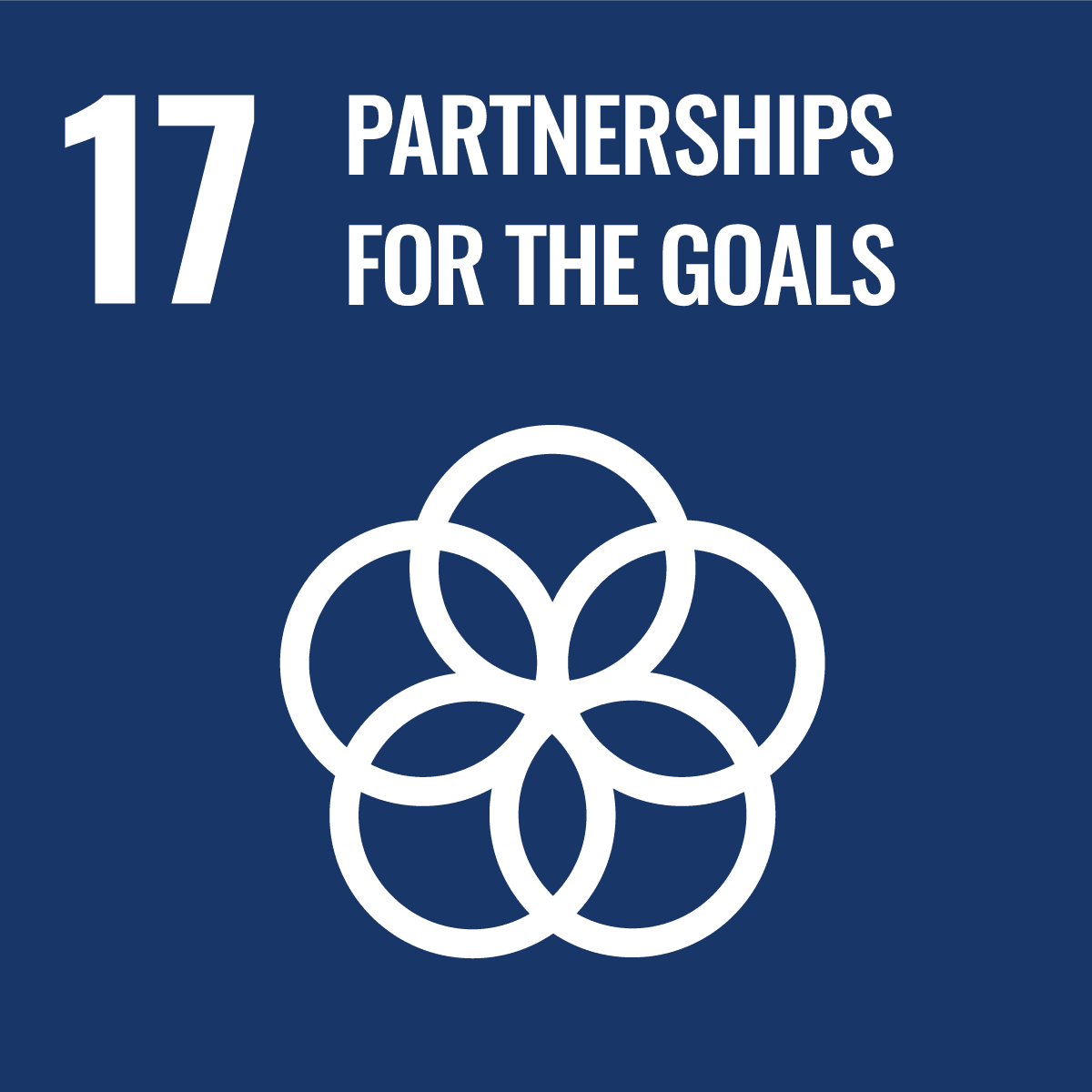 Sustainable Development Goal 17: Partnerships for the Goals
