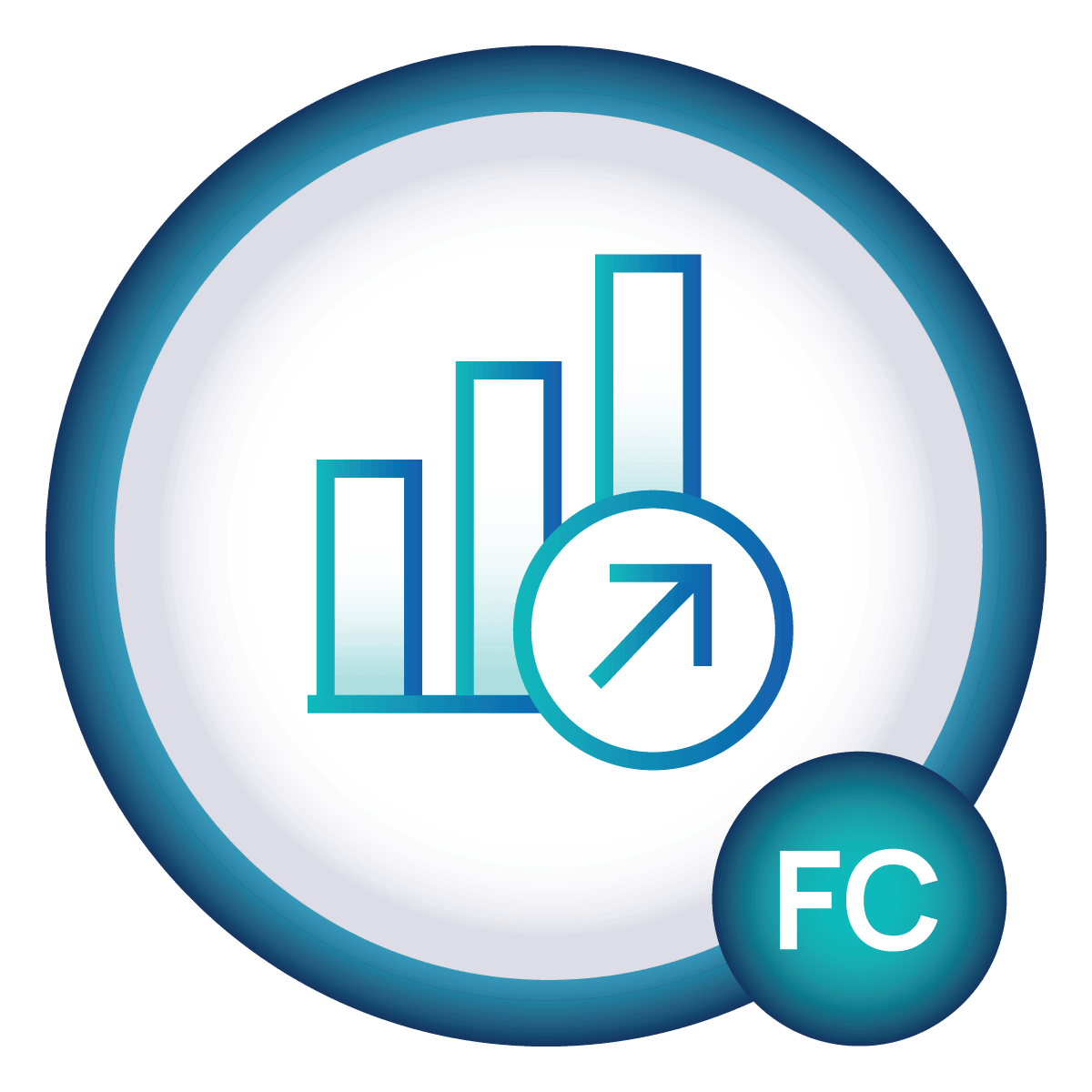 Financial capital