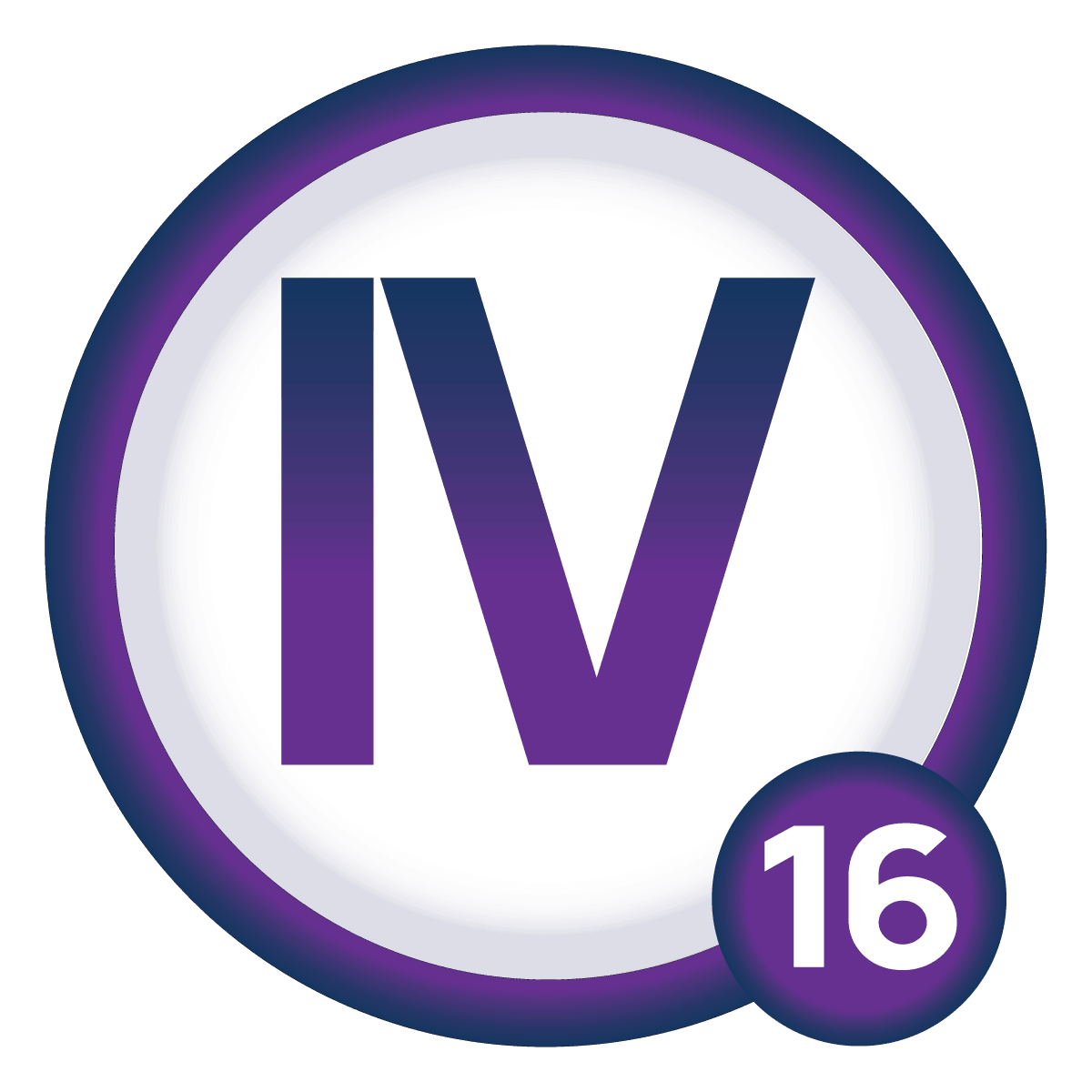 King IV principle 16
