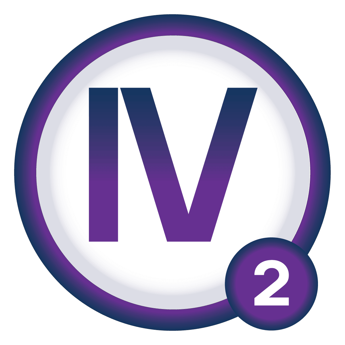 King IV principle 2