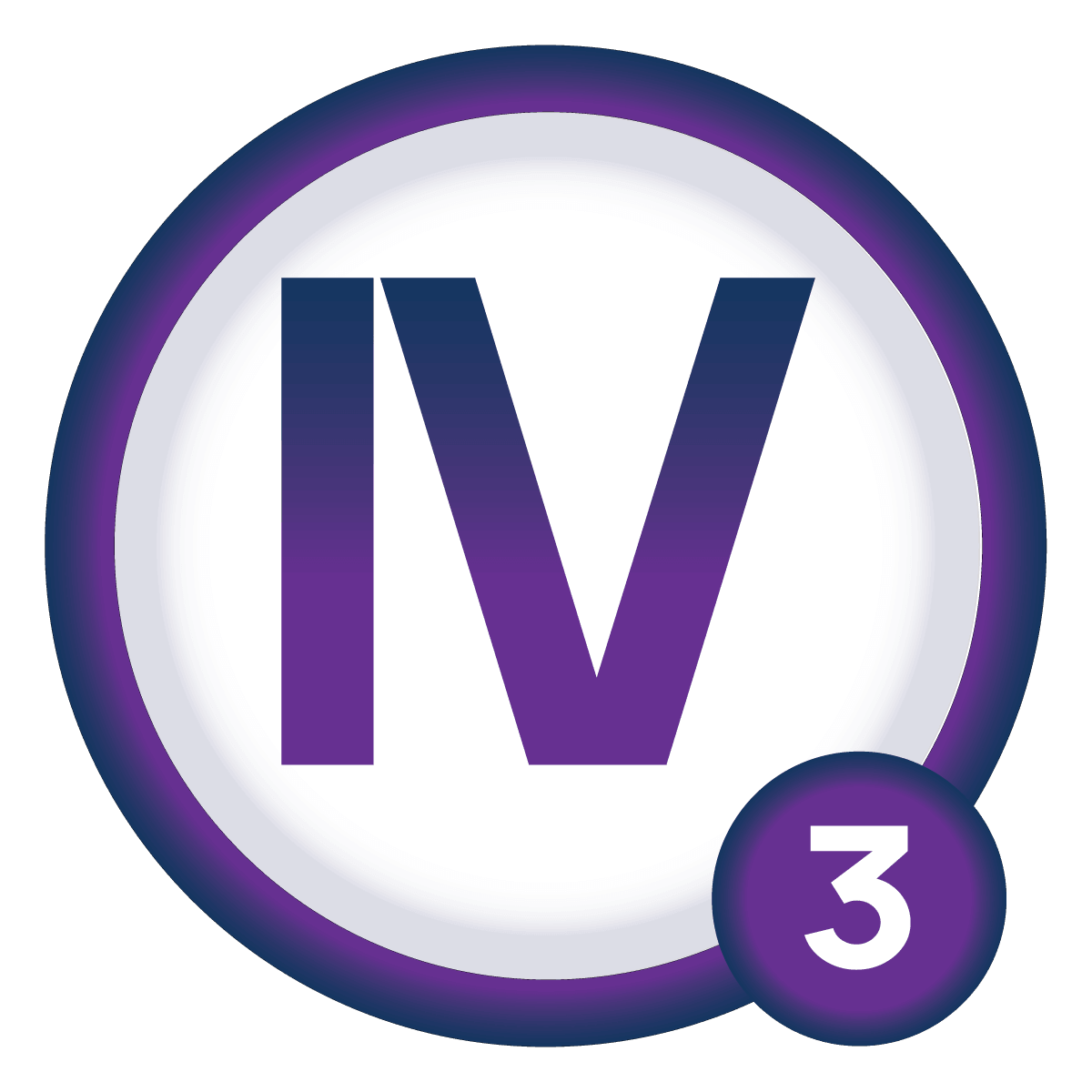 King IV principle 3