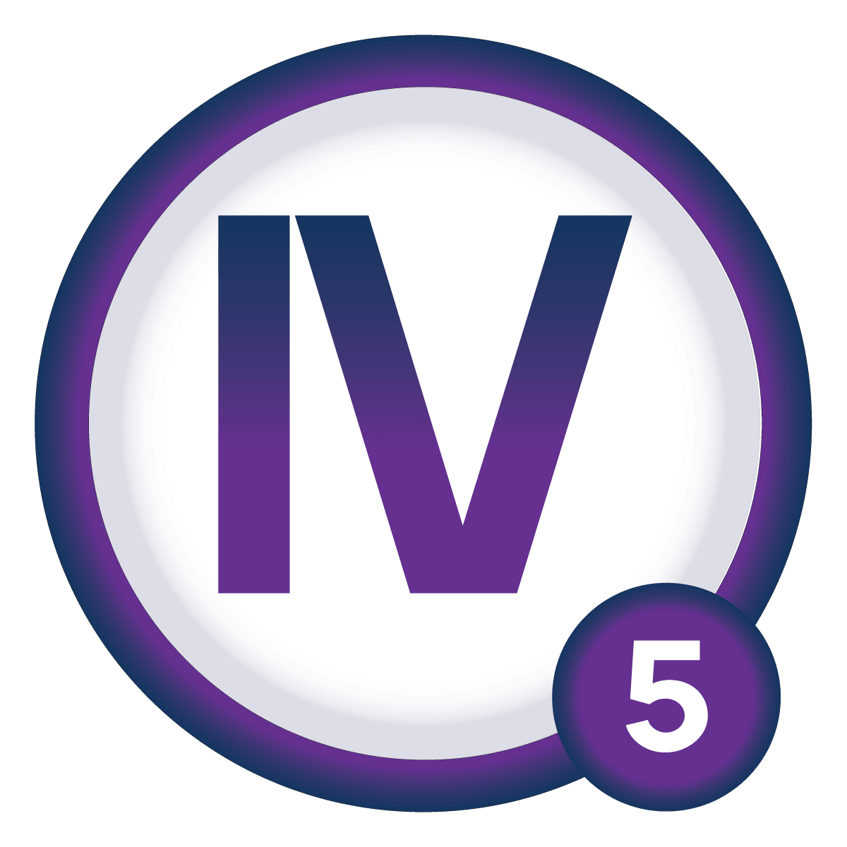King IV principle 5