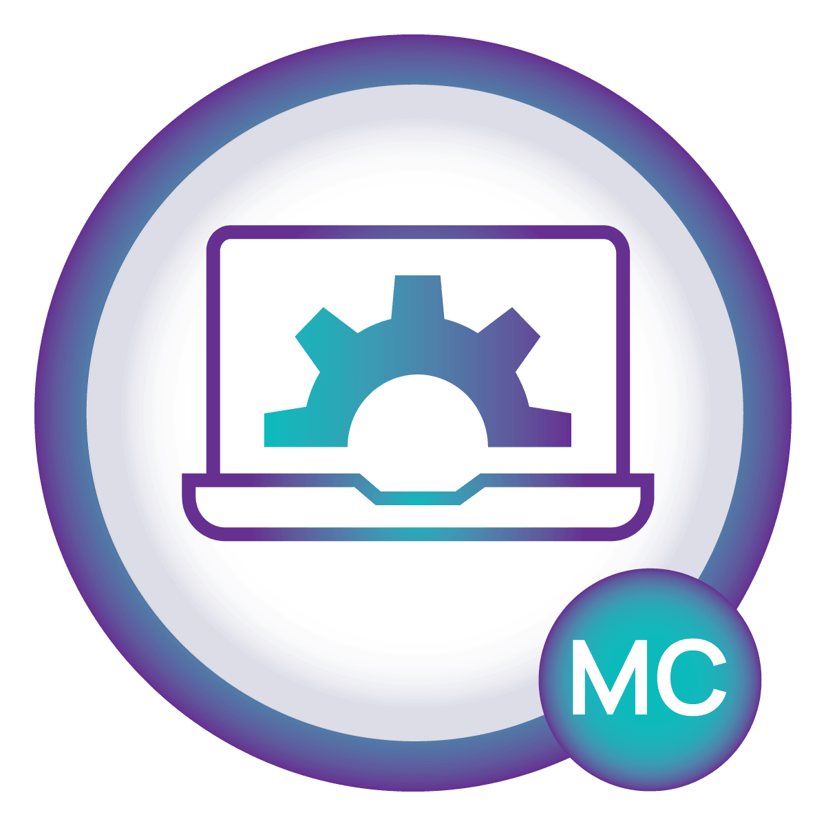 Manufactured capital