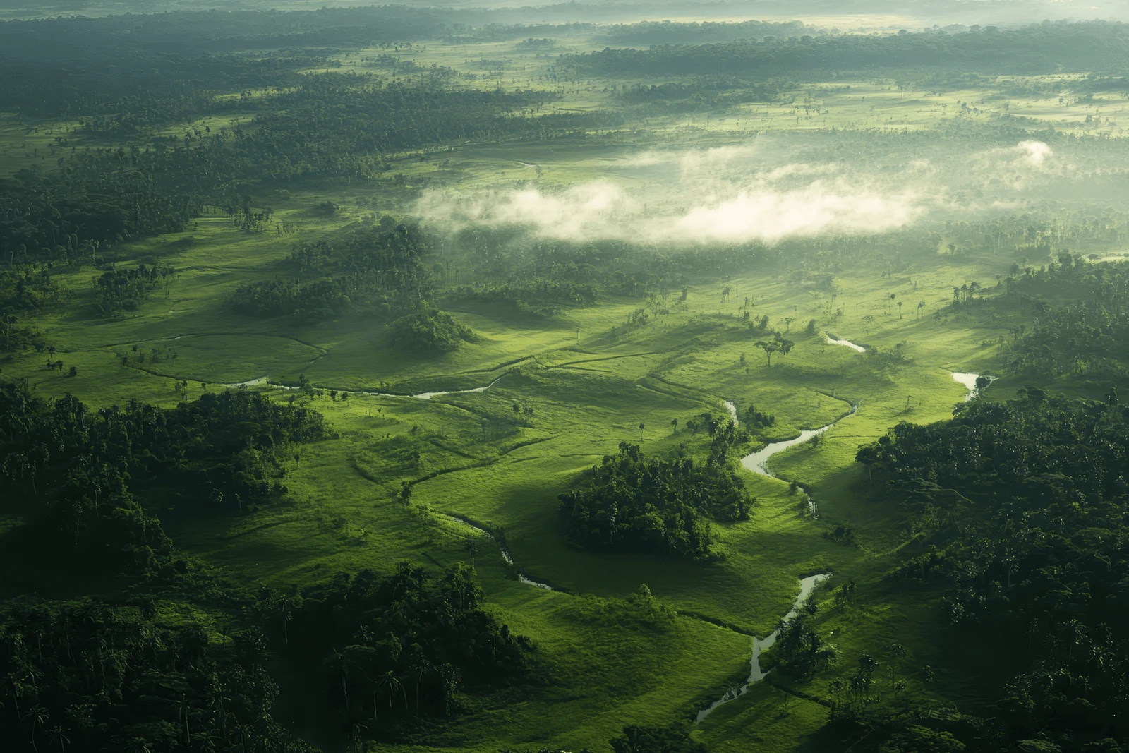 Aerial view representing the Fund’s operating and reporting environment