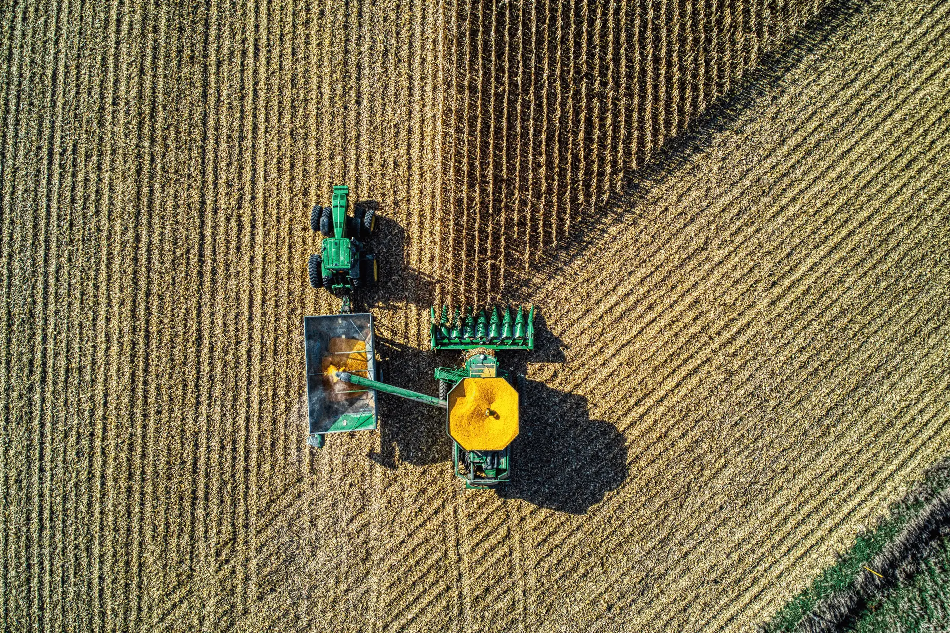 Aerial view of harvesting machinery in a crop field